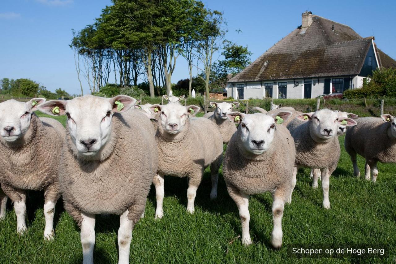 Vakantiepark De Krim Texel De Cocksdorp  Eksteriør bilde